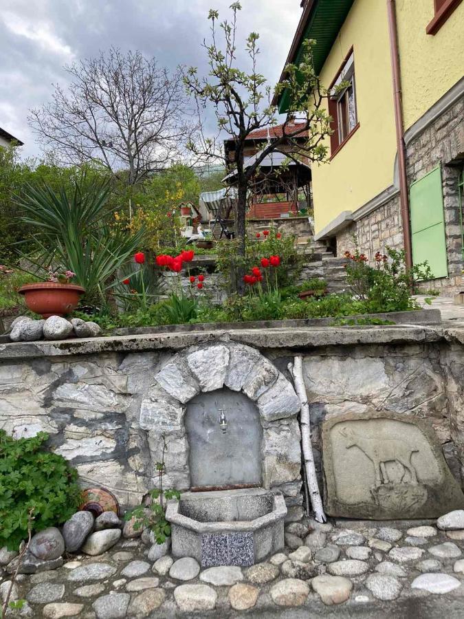 Vila Venera ヴェリングラード エクステリア 写真