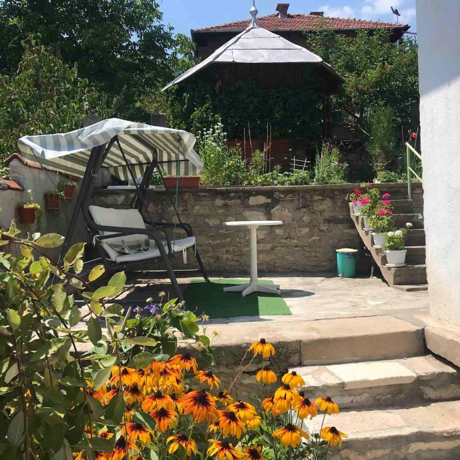Vila Venera ヴェリングラード エクステリア 写真